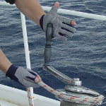 Segelhandschuhe Rote Naht 2 Finger Geschnitten Grösse L